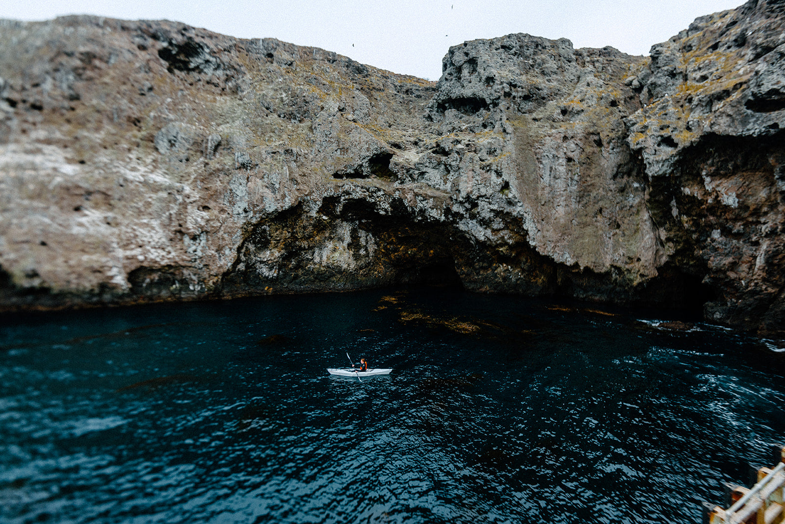 Inlet/ Bay/ Coast/ Jay T.