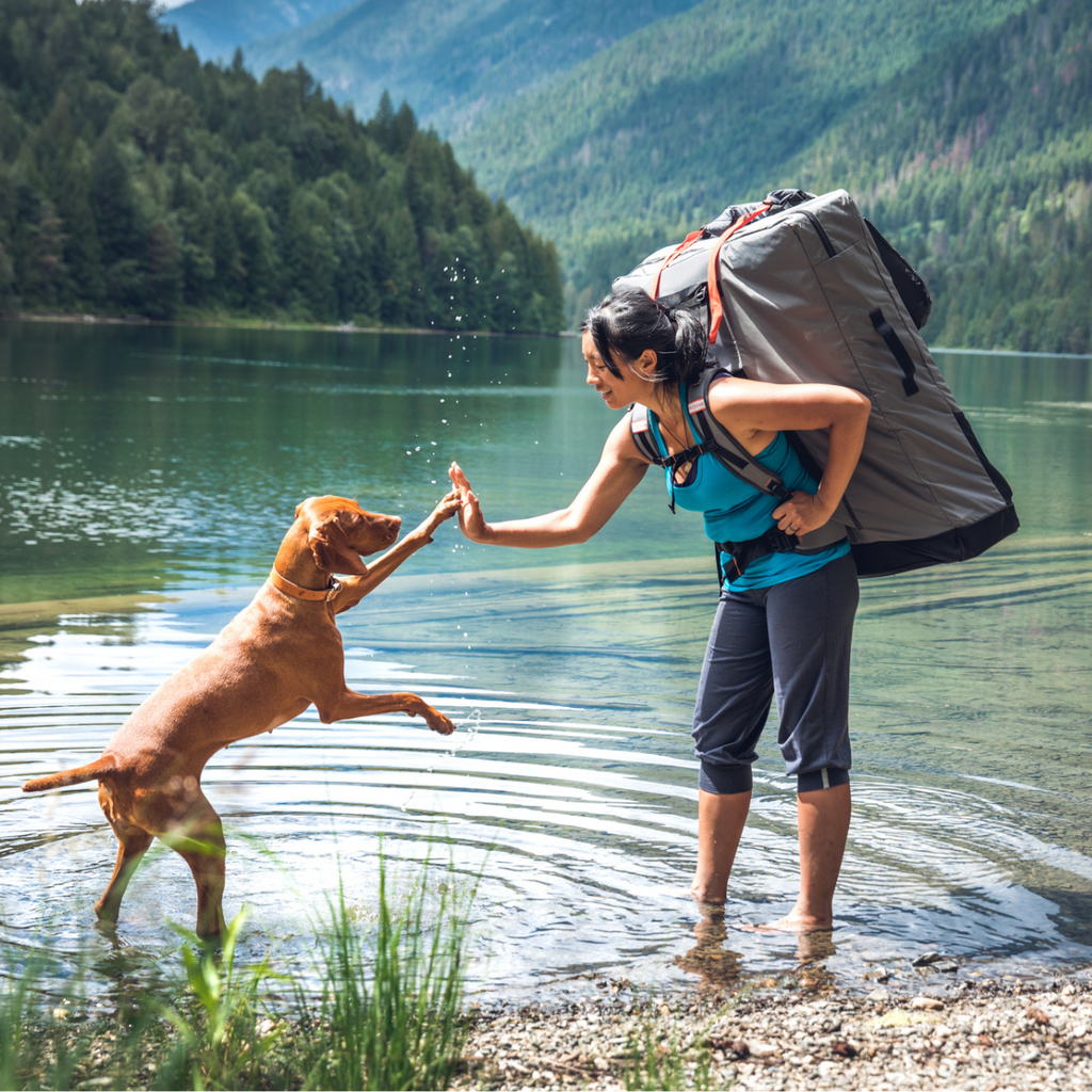 Beach Explorer Bundle