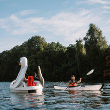 Image shows man on the water kayaking alongside a swan boat.